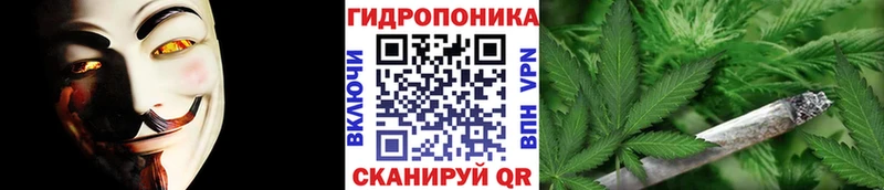 Конопля конопля  Суздаль 